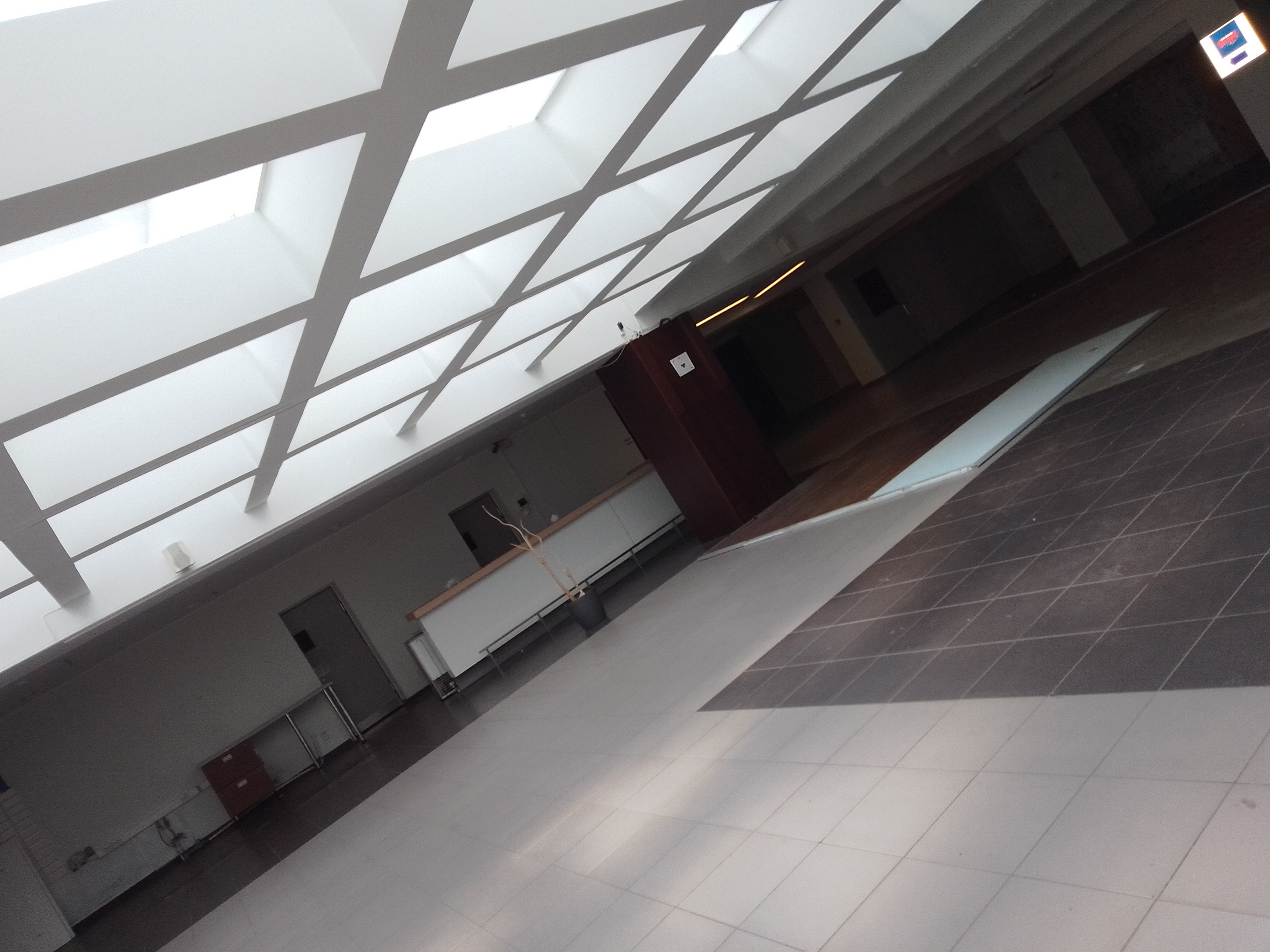 IMG 20230704 114610 710